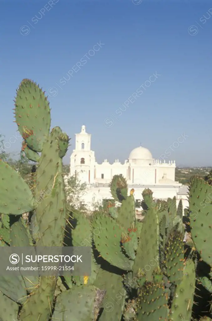 The Mission San Xavier Del Bac was erected between 1783 and 1897 in Tucson Arizona