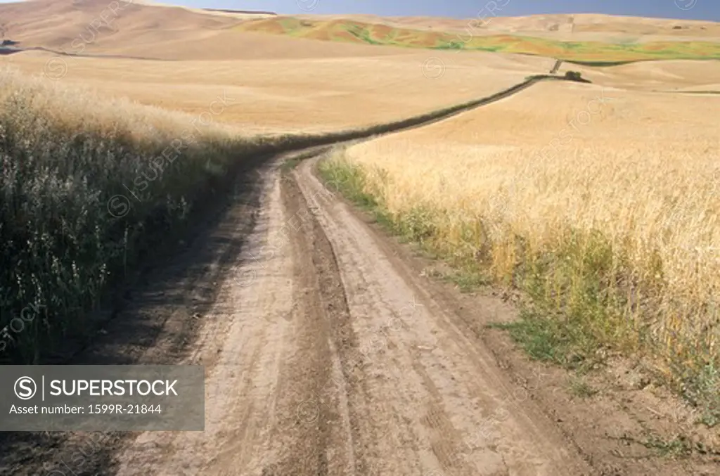 The road that travels through the world's largest wheat region named Kamiack Butte in South Eastern Washington