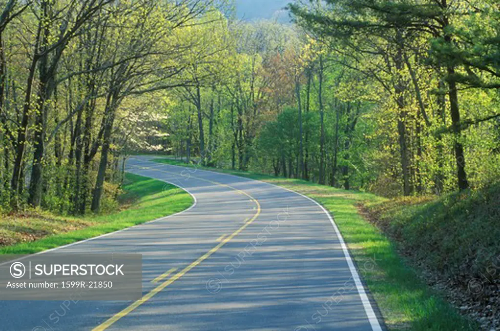 Skyline Drive in Shenandoah National Park in Spring, Virginia