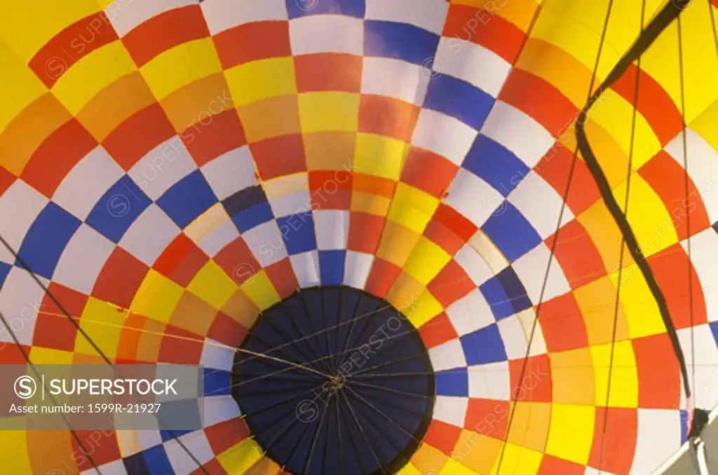 The Albuquerque International Balloon Fiesta in New Mexico