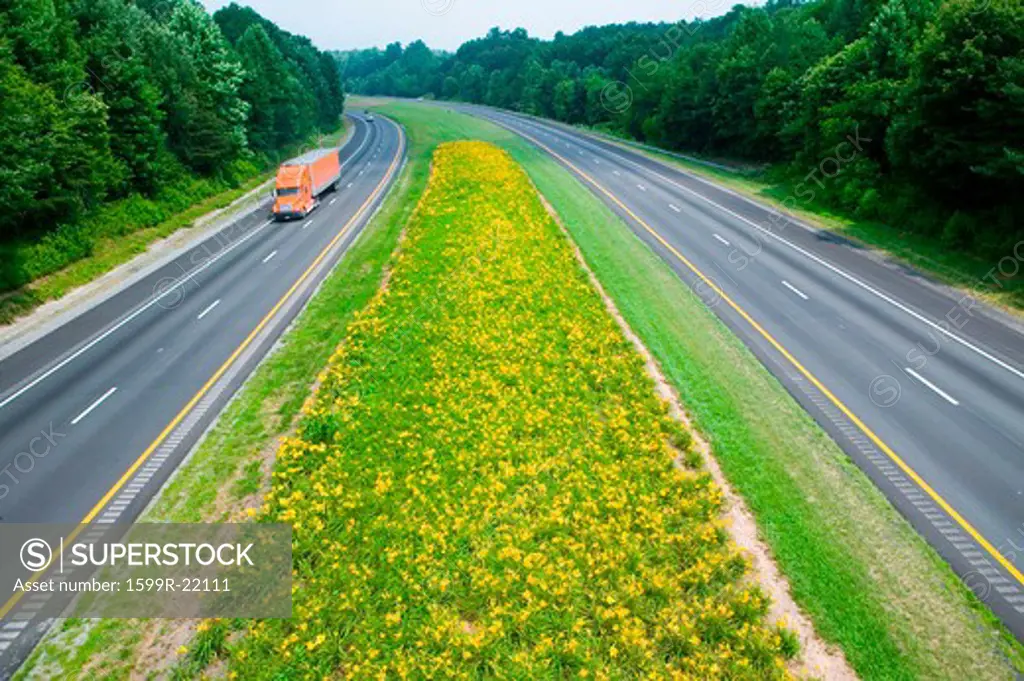 Truck driving on yellow flower lined state highway in rural Virginia