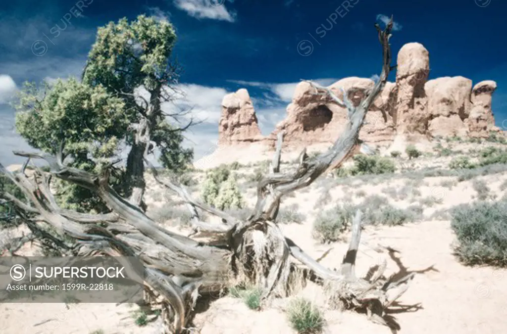 Digitally altered, high contrast image of desert landscape, Arches National Park, Utah