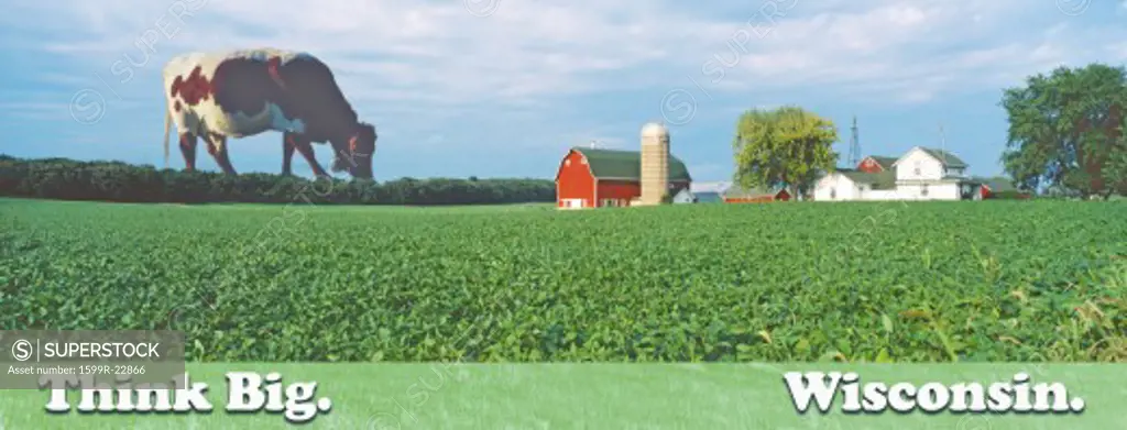 Composite image of a giant cow grazing behind a distant farm with a silo and barn