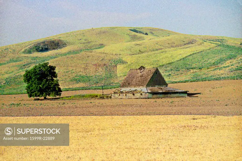 Digitally altered image of a barn and wheat field at the bottom of a hill in southeast WA