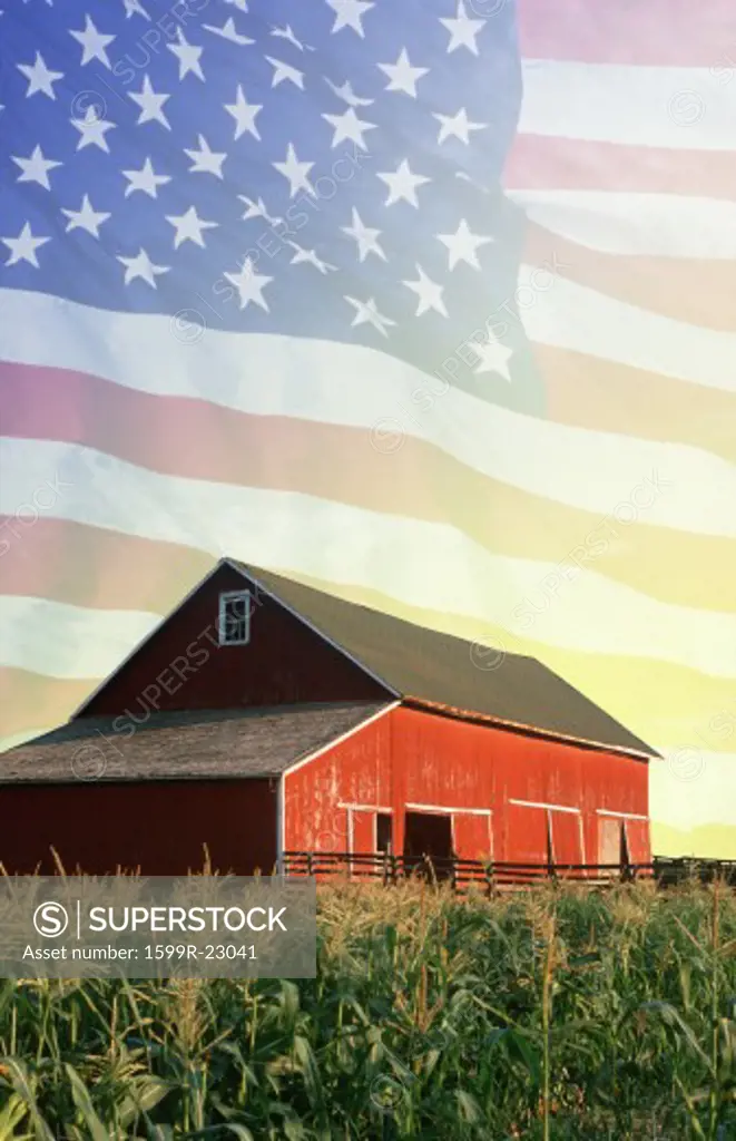 Photo montage: Red barn, corn field, and American eagle