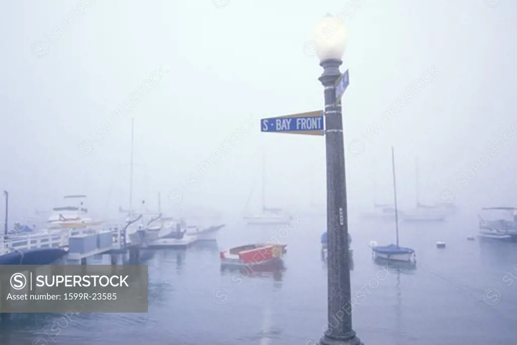 Fog on the bay front, Balboa Island, California