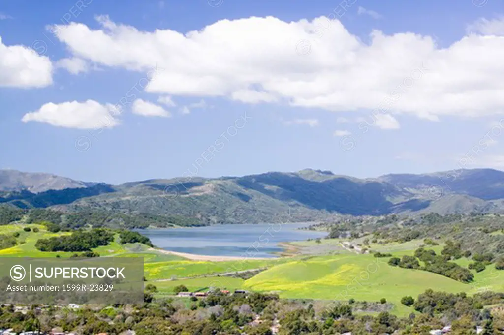 Elevated view of Lake Casitas and green fields in spring with white puffy clouds, shot from Oak View, near Ojai, California