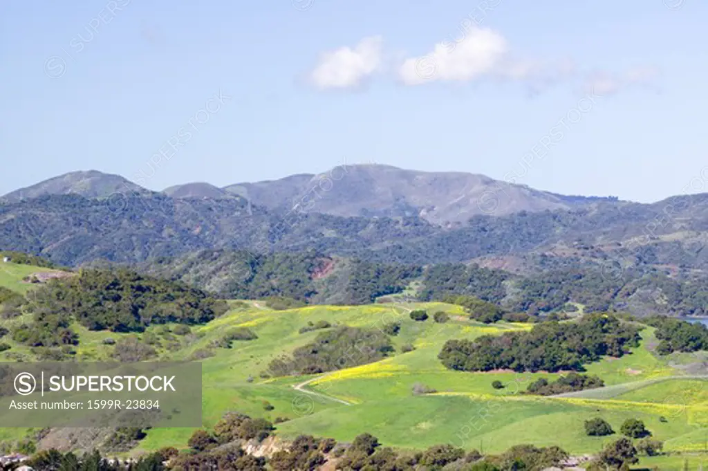 Elevated view of Lake Casitas and green fields in spring, shot from Oak View, near Ojai, California