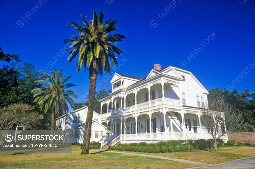 Old Plantation in Biloxi, MS with palm trees
