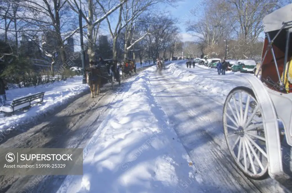Horse carriage ride in Central Park, Manhattan, New York City, NY after winter snowstorm