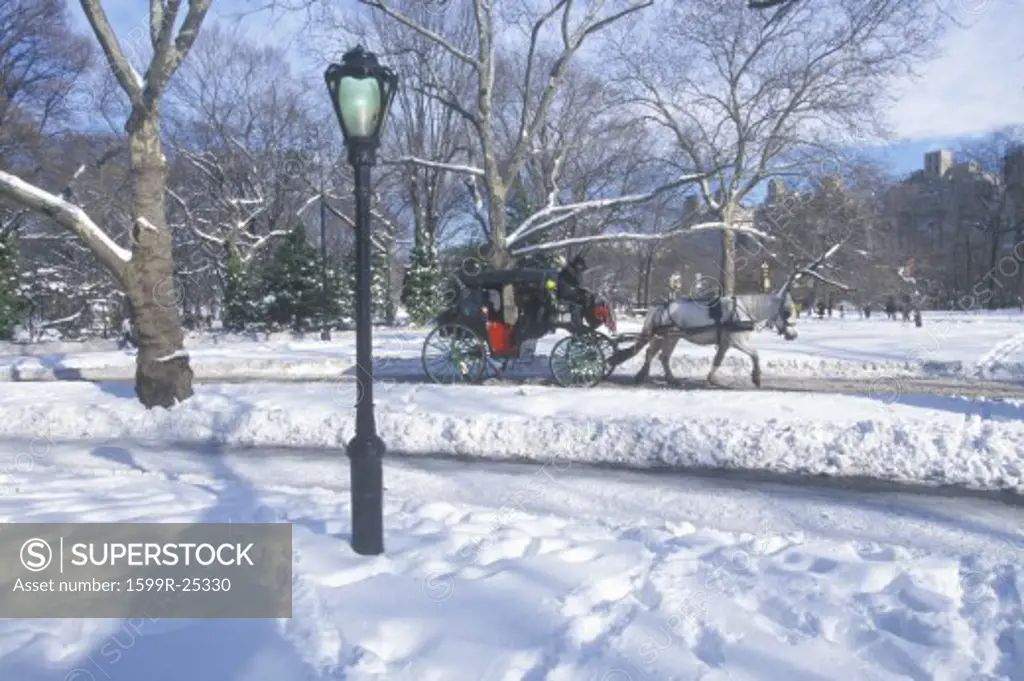 Horse carriage ride in Central Park, Manhattan, New York City, NY after winter snowstorm