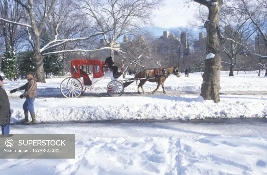 Horse carriage ride in Central Park, Manhattan, New York City, NY after winter snowstorm