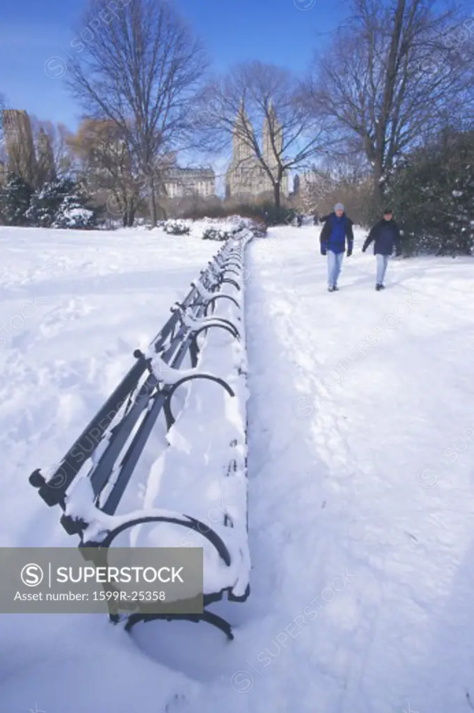 Park Benches with snow in Central Park, Manhattan, New York City, NY after winter snowstorm