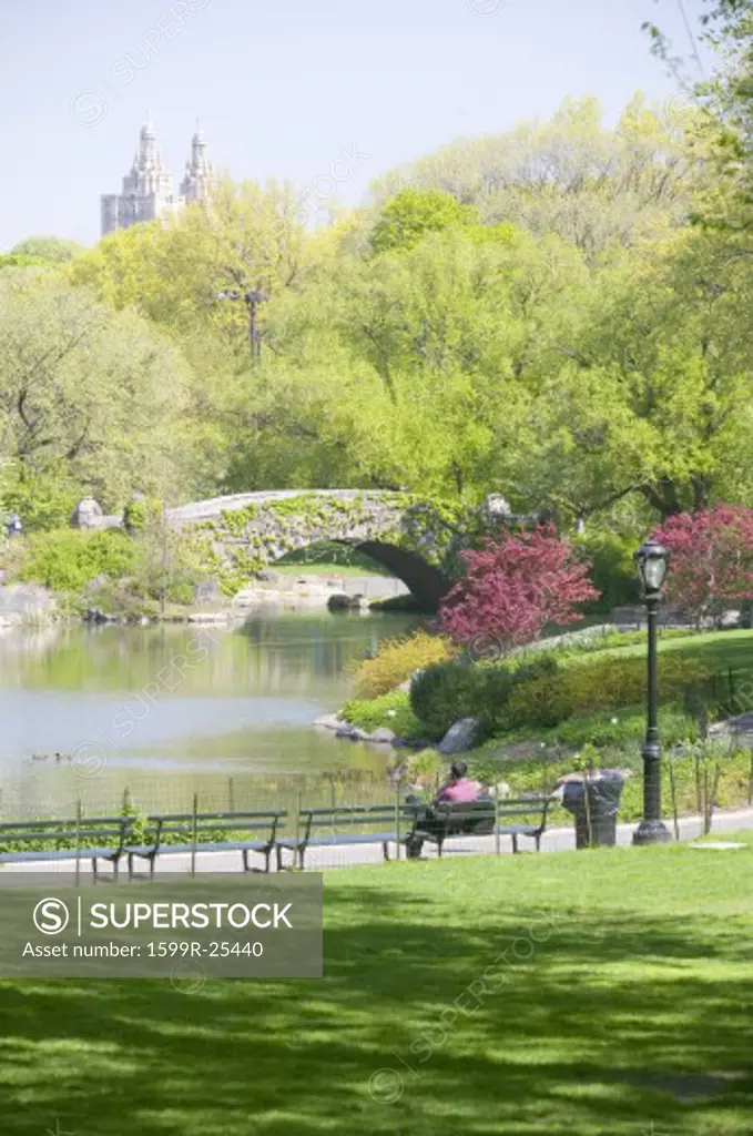 Lake in Central Park in Spring with Dakota Apartments in background, New York City, New York