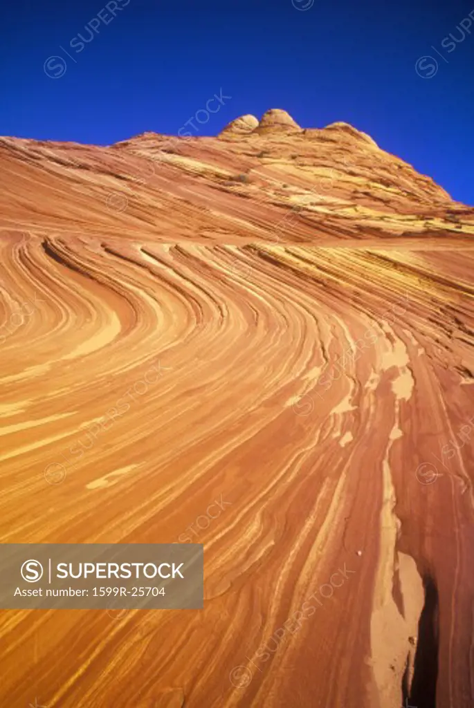 Close up of sandstone stripes, 'The Wave' on Kenab Coyote Butte, BLM, Slot Canyon, UT