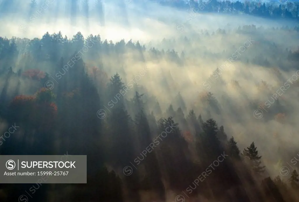 Aerial view of Morning fog and sunrise in autumn near Stowe, VT on Scenic Route 100