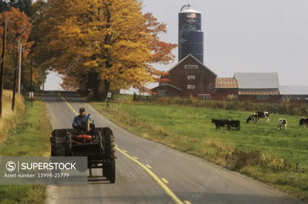 Tractor on farm road with barn and silo in background in autumn, VT