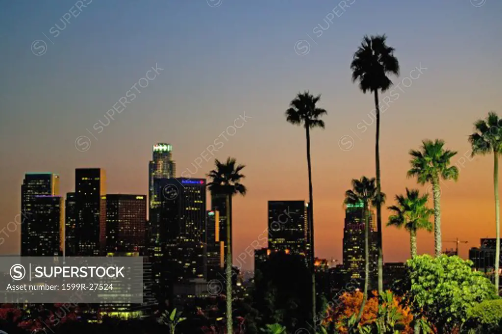Palm trees at sunset rise above Los Angeles skyline as seen from Dodger Stadium during NLCS baseball series, October 12, 2008