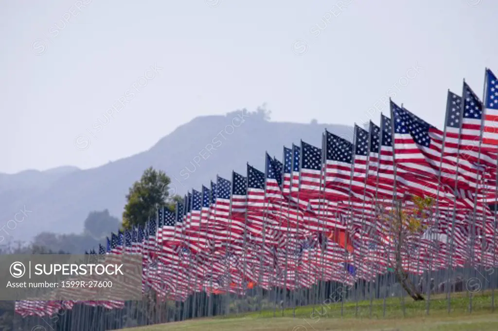 3000 Flags, September 11, 2009, Malibu CA