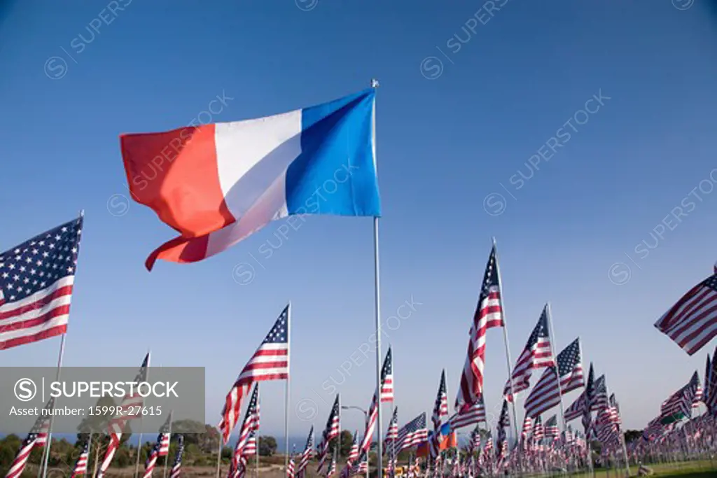 French flag among 3000 Flags, September 11, 2009, Malibu CA