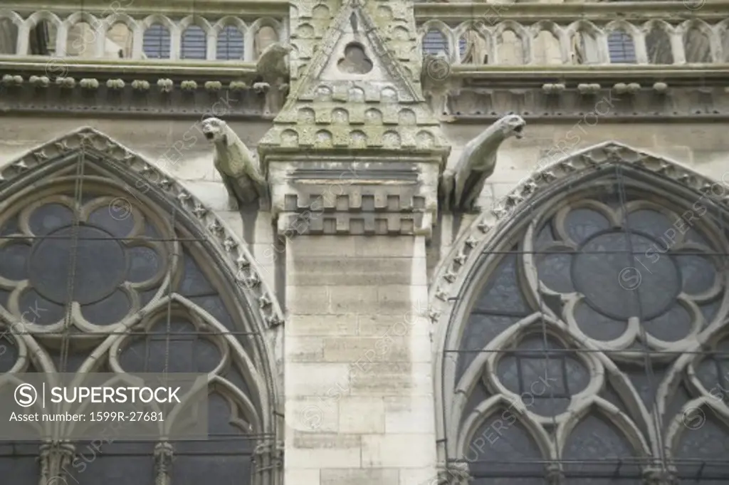 Gargoyles on the exterior of the Notre Dame Cathedral, Paris, France