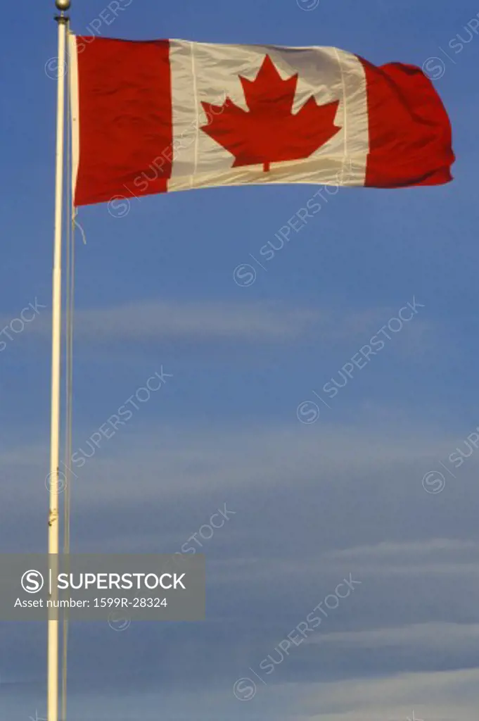 Maple Leaf Canadian Flag
