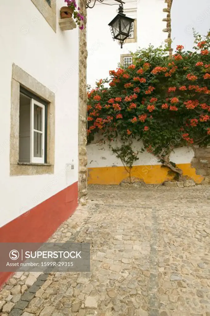 Narrow streets and bougainvillea plant in the village of Obidos founded by the Celts in 300 BC, Portugal