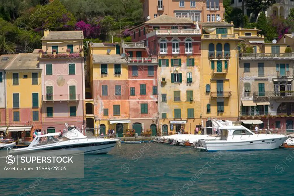 View of Portofino's Riviera di Levante and its colorful buildings and harbor, a small Italian fishing village in the province of Genoa on the Italian Riviera on the Mediterranean Sea, Italy, Europe