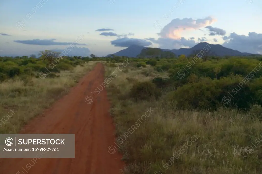 Sunrise red road in Tsavo National park, Kenya, Africa