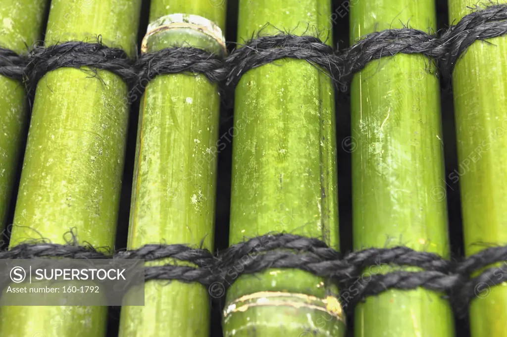 Close-up of bamboo fence