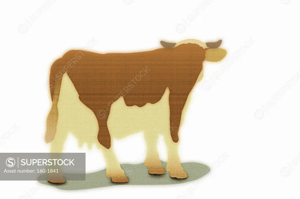 Illustration of cow on white background