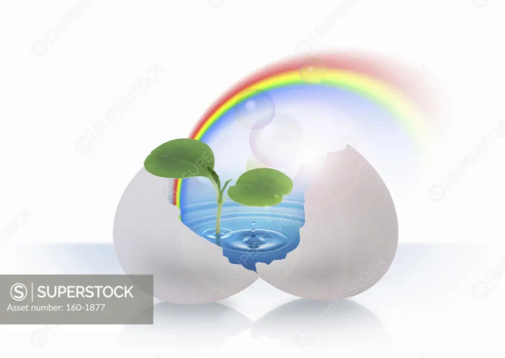 Egg containing rainbow, water and seedling, digitally generated image