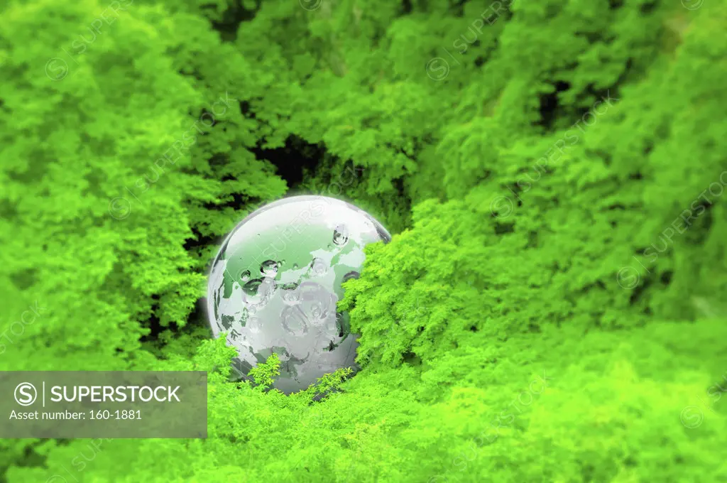 Globe in tree canopy, digitally generated image