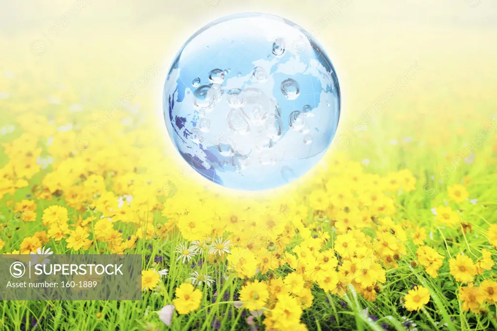 Globe over flowers in meadow, digitally generated image