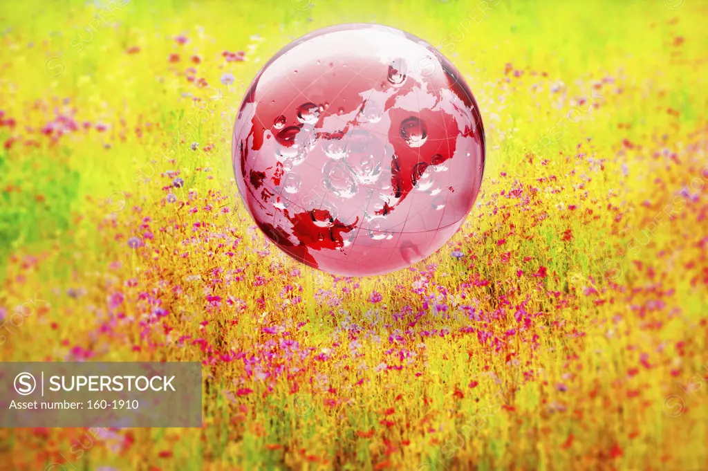 Globe in wildflowers, digitally generated image