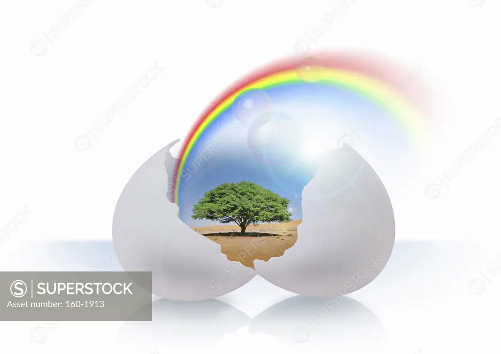 Tree and rainbow coming out of cracked egg, digitally generated image