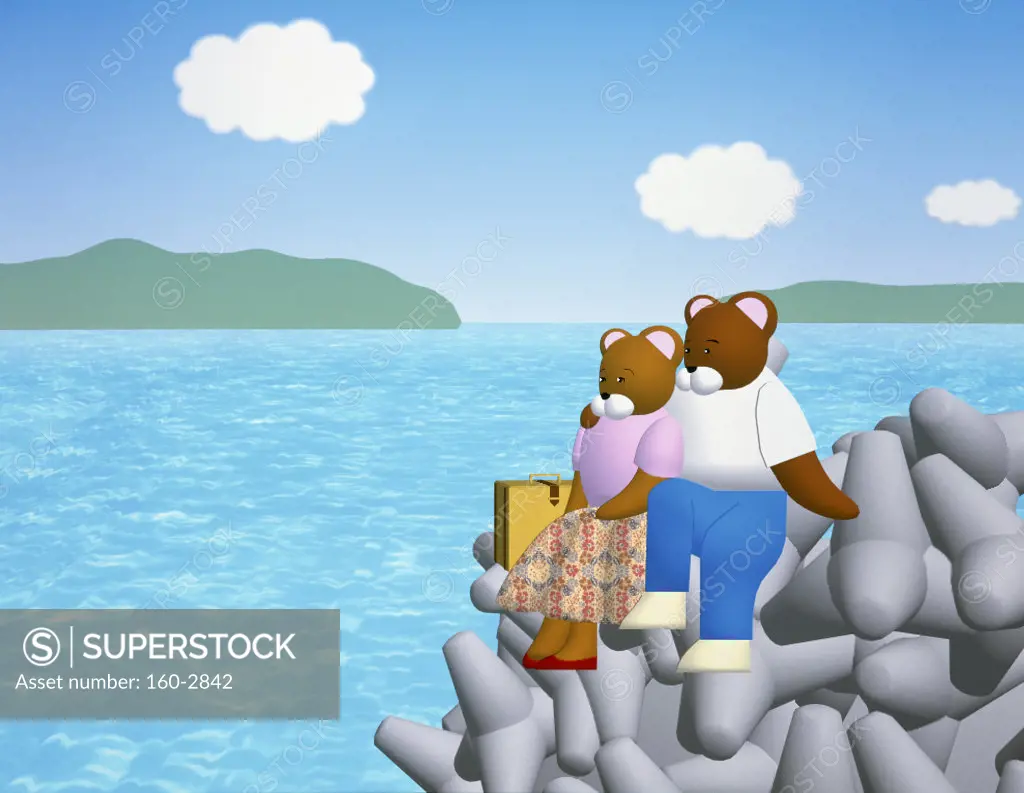 The married couple of a bear to look at the sea