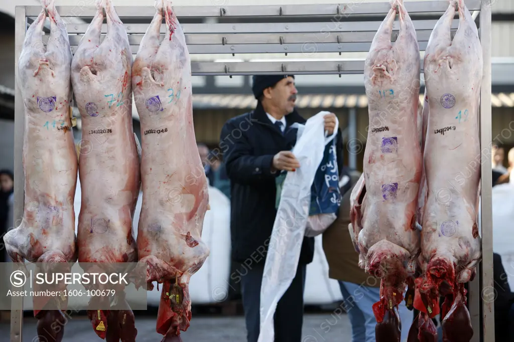 France, Lyon, Sheep for the muslim Eid-el-Kebir festival