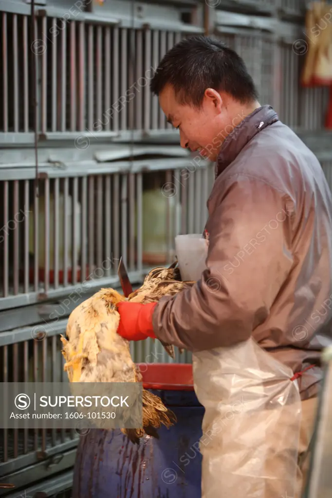 CHINE, MACAO, Poultry at the red market, Macao