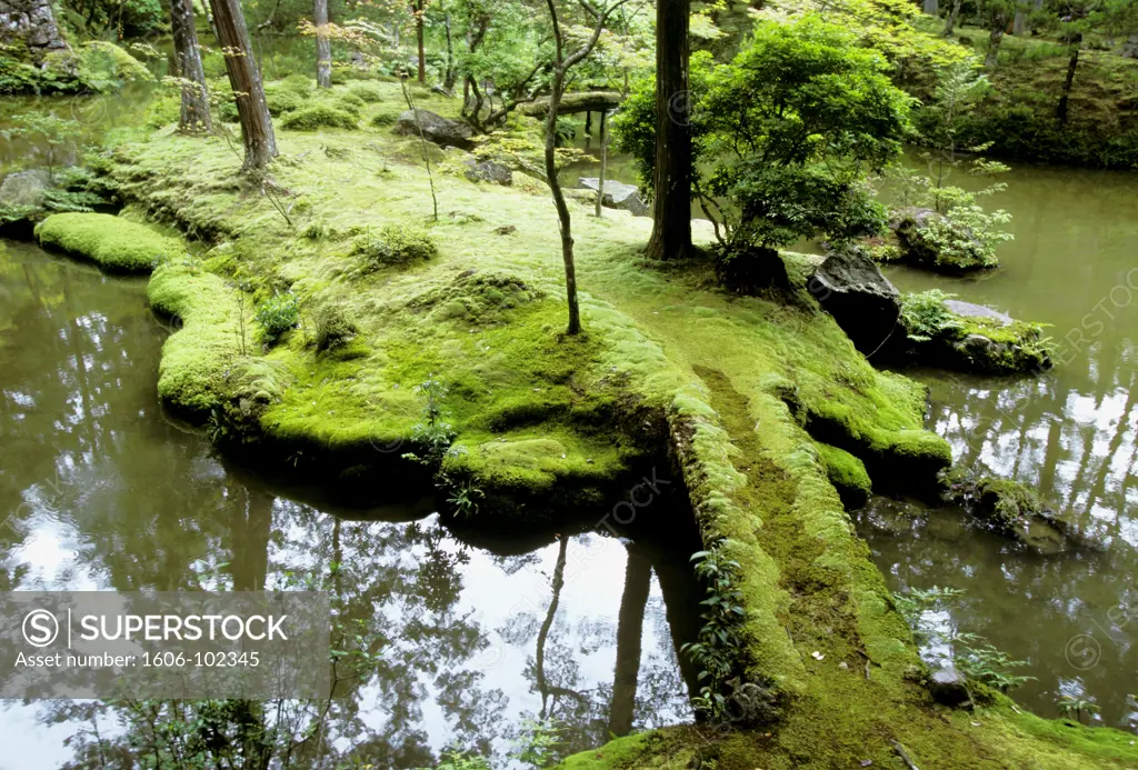 Japan, Kyoto, zen garden, Saihoji temple, ""Kokodera"" ( The Moss temple)