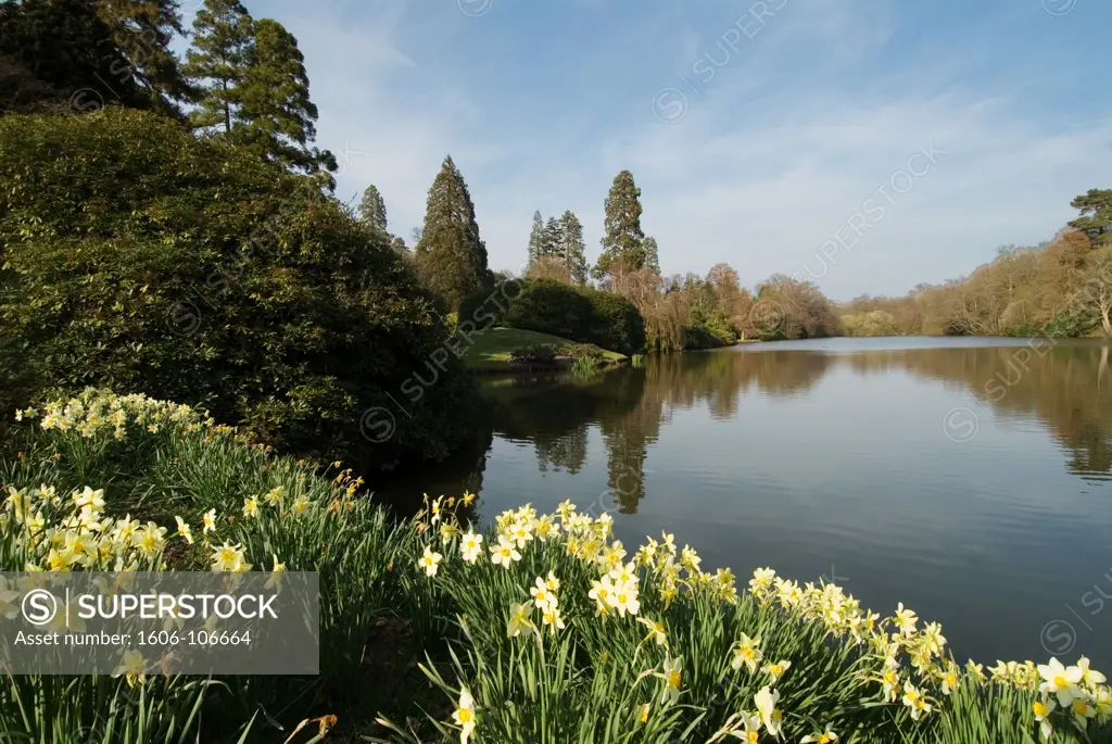 England, Sussex, Sheffield Park Garden, lake with daffodils