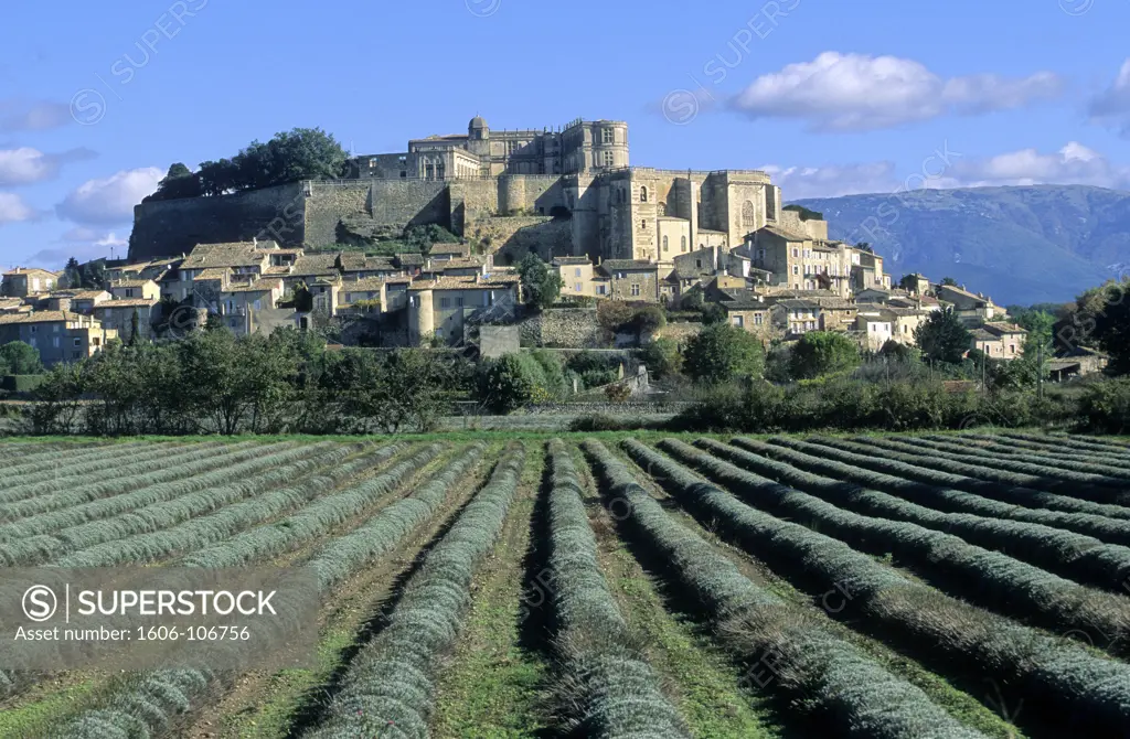 France, Rhone-Alpes, Drome (26), Grignan, le village le chateau et les champs de lavande