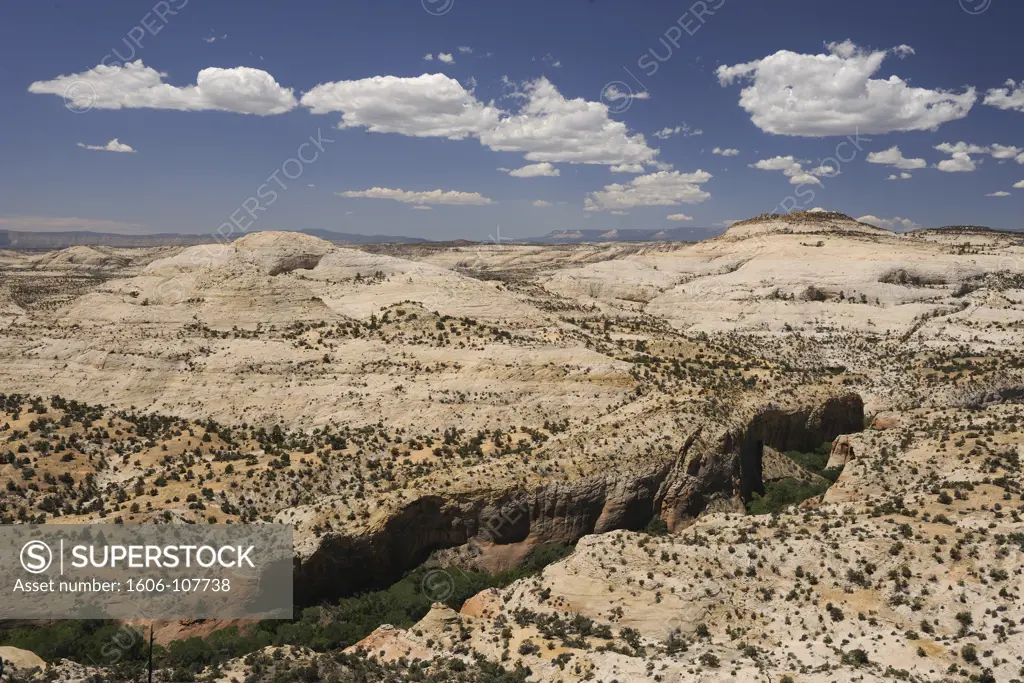 USA, Utah, Escalante, Calf Creek Canyon