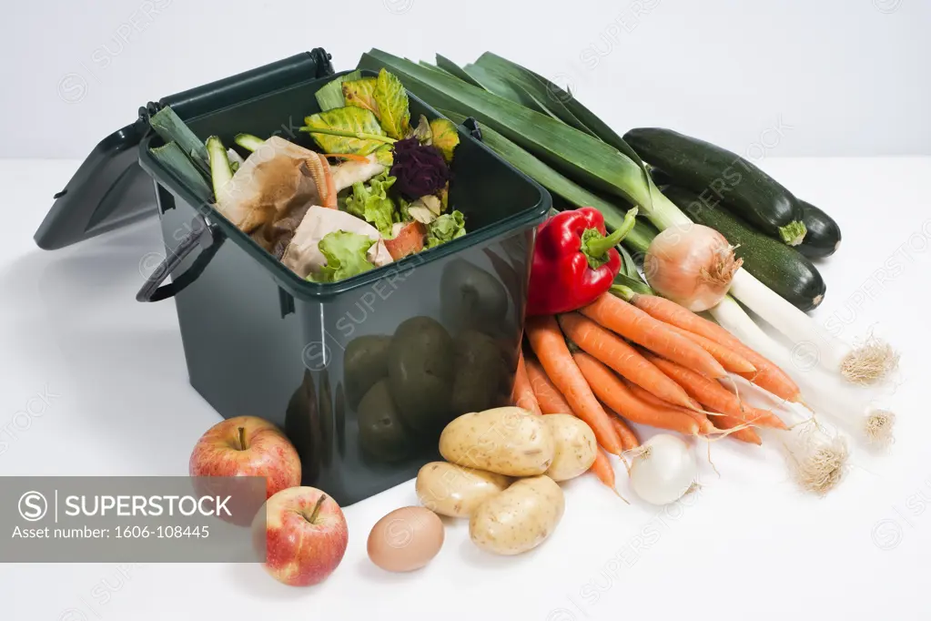 Compost container and vegetables