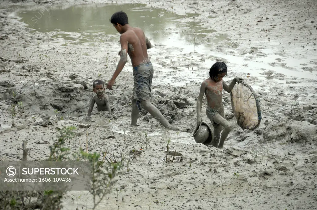 India, West Bengal, Sundarbans National Park, Ganges delta, man and children in mud