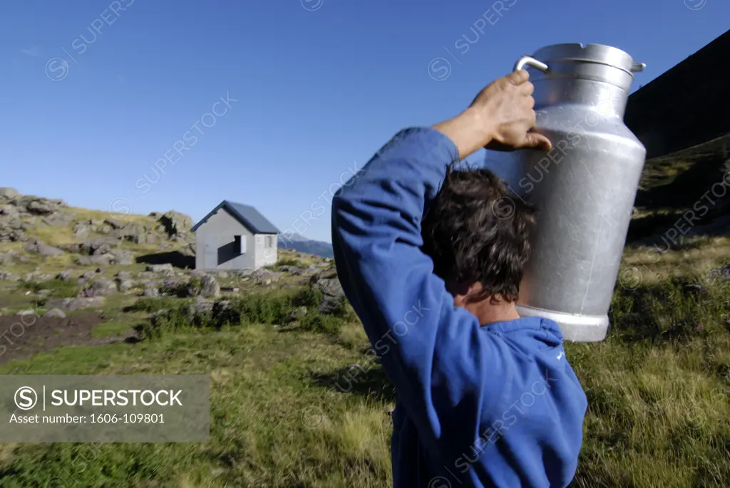 France, Pyrnes, shepherd carrying milk can