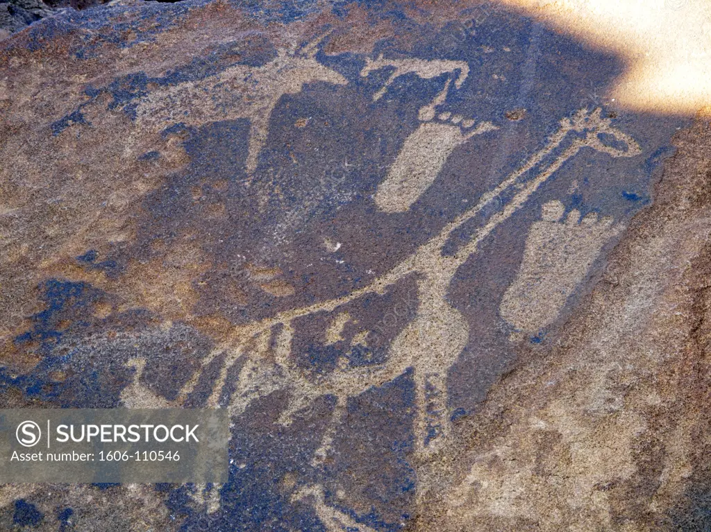 Namibia, Damaraland, Twyfelfontein, rock carvings