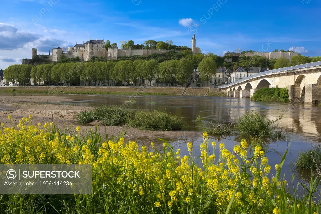 France, Centre, Indre et Loire, Chinon, castle and river Vienne