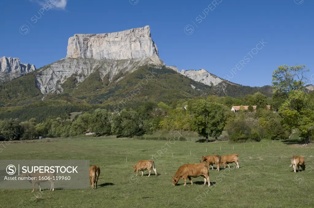 France, Alps, Isre, Mont Aiguille