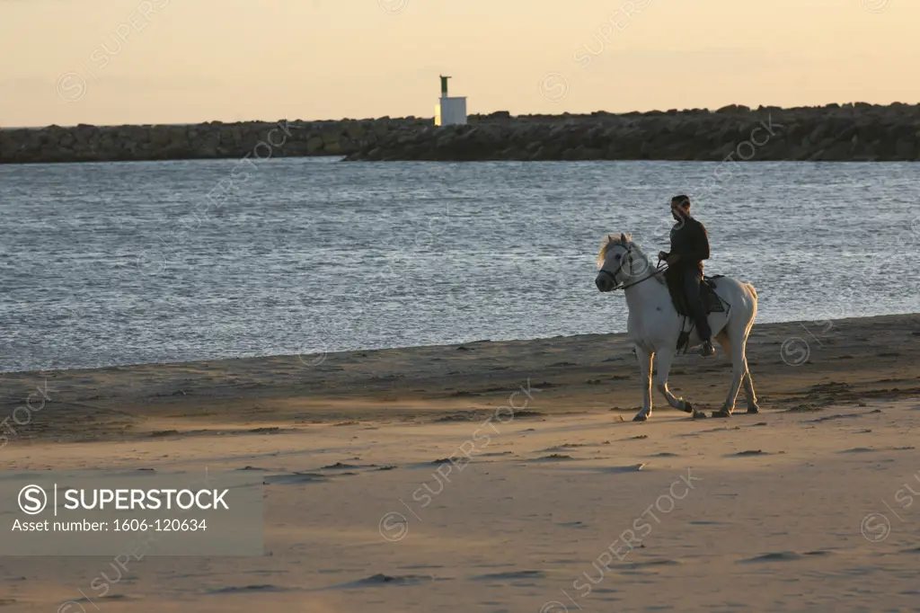 France, Provence alpes cote d'Azur, Bouches du Rhne (13), Camargue, Saintes-Maries-de-la-Mer beach